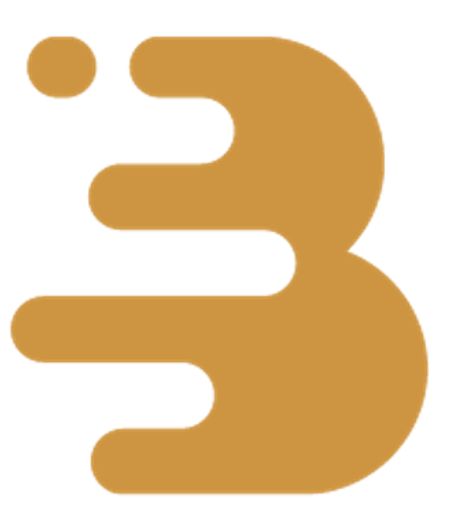 Biziwear clothing